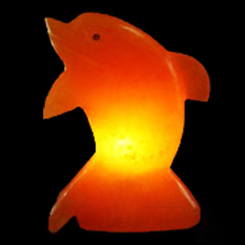 Dolphin-Salt-Lamp
