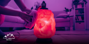 Himalayan Salt Lamps: Everything You Need to Know